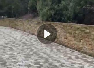 Земельный участок на продажу, 10 сот., СНТ Зелёная Роща, улица Строителей