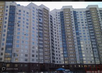 Продам квартиру студию, 25.3 м2, Санкт-Петербург, улица Оптиков, 45к1, муниципальный округ № 65