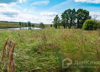 Продаю участок, 24.29 сот., село Мокрый Корь