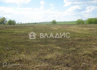 Продаю земельный участок, 15 сот., деревня Жашково