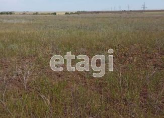 Участок на продажу, 463 сот., село Шелковичное