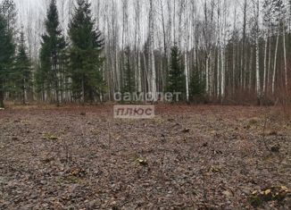 Продам земельный участок, 15.6 сот., деревня Новотроицк, Кокшайская улица, 118