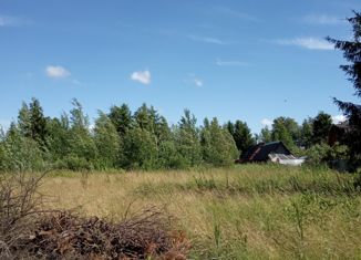 Продажа участка, 24 сот., деревня Трубников Бор