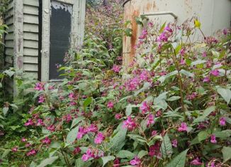 Продаю дом, 35 м2, Новокузнецк, Ковровская улица