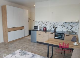 Сдам в аренду квартиру студию, 27.7 м2, Москва, Дубининская улица, 59с2, метро Серпуховская