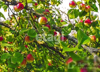 Дом на продажу, 20 м2, посёлок Дорожный