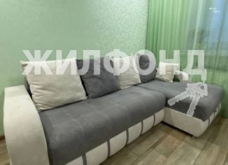 Продажа однокомнатной квартиры, 29.2 м2, Новосибирск, улица Михаила Перевозчикова, 5/1, улица Михаила Перевозчикова