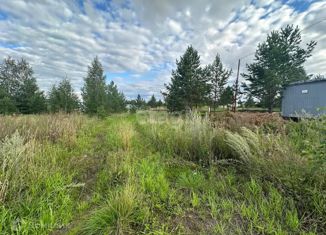 Продажа участка, 10.7 сот., деревня Пашнино 1-е, Берёзовая улица, 1