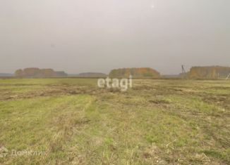 Продаю земельный участок, 8 сот., село Горьковка, Сибирская улица