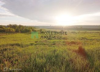 Земельный участок на продажу, 31 сот., деревня Новые Ерыклы, улица Верхние Ерыклы, 3