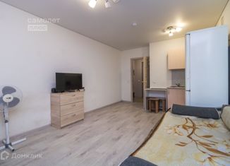 Продается однокомнатная квартира, 24.7 м2, село Зубово, улица Бориса Перина, 1