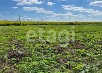 Продам участок, 12 сот., село Гремячее, улица Новики