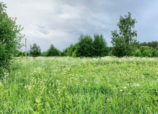 Продается участок, 50 сот., деревня Большой Двор