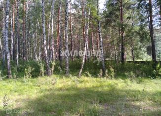 Продаю земельный участок, 15 сот., деревня Ерестная, Центральная улица