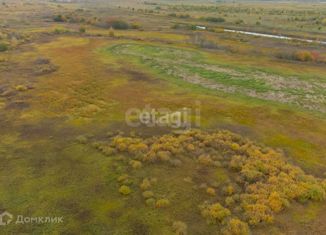 Продам участок, 100 сот., село Борки