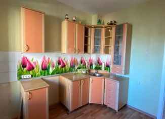 Аренда однокомнатной квартиры, 40 м2, посёлок городского типа Белый Яр, улица Некрасова, 1Б