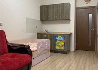 Продаю квартиру студию, 23.1 м2, посёлок Шушары, Вилеровский переулок, 6, ЖК Юнион