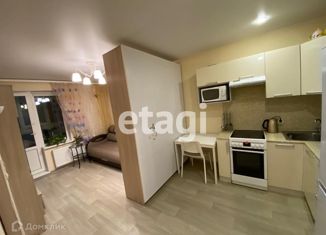 Продажа квартиры студии, 23.9 м2, Мурино, Петровский бульвар, 7, ЖК Ласточка