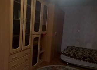 Сдаю однокомнатную квартиру, 30 м2, Ростов-на-Дону, Соборный переулок, 72, Октябрьский район