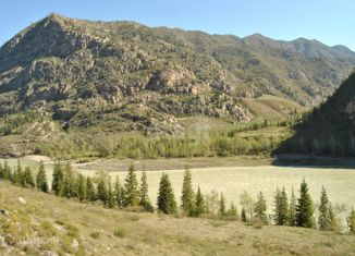 Участок на продажу, 360.1 сот., село Купчегень, Средняя улица