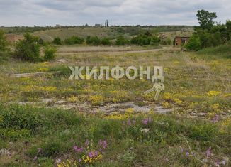 Земельный участок на продажу, 102 сот., дачный массив Новозбурьевка, Смежная улица