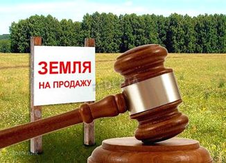 Участок на продажу, 14.38 сот., село Городище, Рябиновая улица, 7