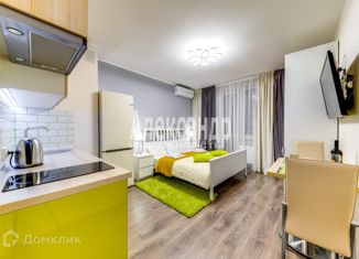 Продаю квартиру студию, 28.2 м2, Санкт-Петербург, Политехническая улица, 6, Политехническая улица