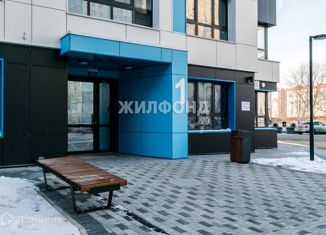 Продаю 2-комнатную квартиру, 68.9 м2, Новосибирск, улица Александра Чистякова, 22/2, метро Студенческая