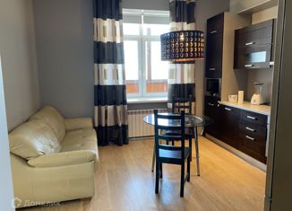 Сдается 1-комнатная квартира, 52.7 м2, Санкт-Петербург, Бассейная улица, 10, метро Парк Победы