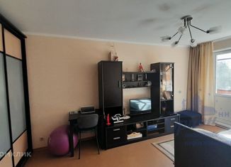 Продажа 1-ком. квартиры, 33.3 м2, Нижний Новгород, улица Адмирала Васюнина, 12к1, 4-й Нагорный микрорайон