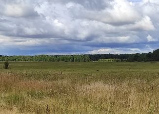 Продажа земельного участка, 13 сот., деревня Мерлеево, деревня Мерлеево, 2