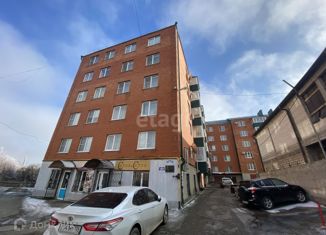 Продам однокомнатную квартиру, 53 м2, станица Ессентукская, улица Ляпидевского, 7