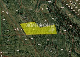 Земельный участок на продажу, 383 сот., коттеджный поселок Сосновка Вилладж, Центральная улица