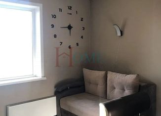 Сдаю в аренду 1-комнатную квартиру, 27 м2, Новосибирск, Приморская улица, 24, Советский район