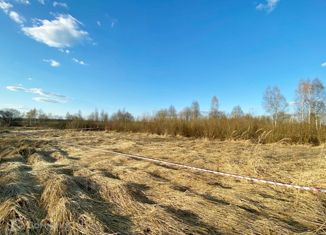 Продажа земельного участка, 15 сот., деревня Шустиково, деревня Шустиково, 228