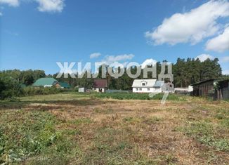 Продается участок, 11 сот., поселок Черницк, Центральная улица