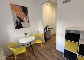 Сдаю в аренду однокомнатную квартиру, 25 м2, Санкт-Петербург, 5-я Красноармейская улица, 17, метро Технологический институт-1