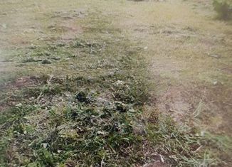 Продам земельный участок, 10 сот., дачное некоммерческое товарищество Озёрное, дачное некоммерческое товарищество Озёрное, 39