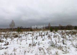 Продам участок, 600 сот., деревня Бурмакина