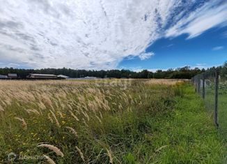 Земельный участок на продажу, 29 сот., деревня Кузнечиха