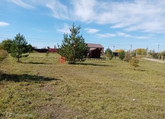 Продам земельный участок, 1 сот., село Васильевка, Народная улица, 27