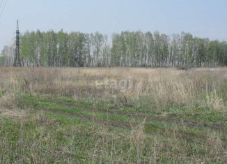 Продается земельный участок, 3.9 сот., садовое товарищество Шоссейное, Заводская улица, 32