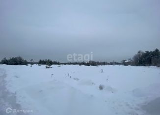 Продается земельный участок, 949.37 сот., деревня Овчагино