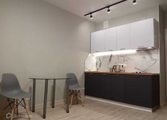 Сдам в аренду квартиру студию, 28.5 м2, Санкт-Петербург, улица Фёдора Котанова, 5к1, ЖК Звёзды Столиц