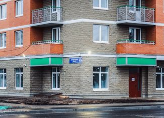 Продам однокомнатную квартиру, 33.1 м2, Колпино, Балканская дорога, 14к2