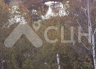 Продается 1-комнатная квартира, 29 м2, Саров, улица Бессарабенко, 15