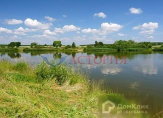 Участок на продажу, 33 сот., деревня Тормино, Школьная улица