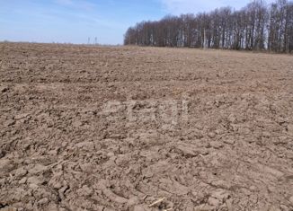 Участок на продажу, 2640 сот., село Красино-Убережное, село Красино-Убережное, 36