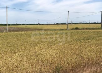 Продается участок, 5 сот., хутор Новоалександровка, Луговой переулок