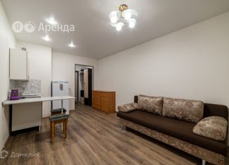 Квартира в аренду студия, 23 м2, Ленинградская область, Центральная улица, 14к4